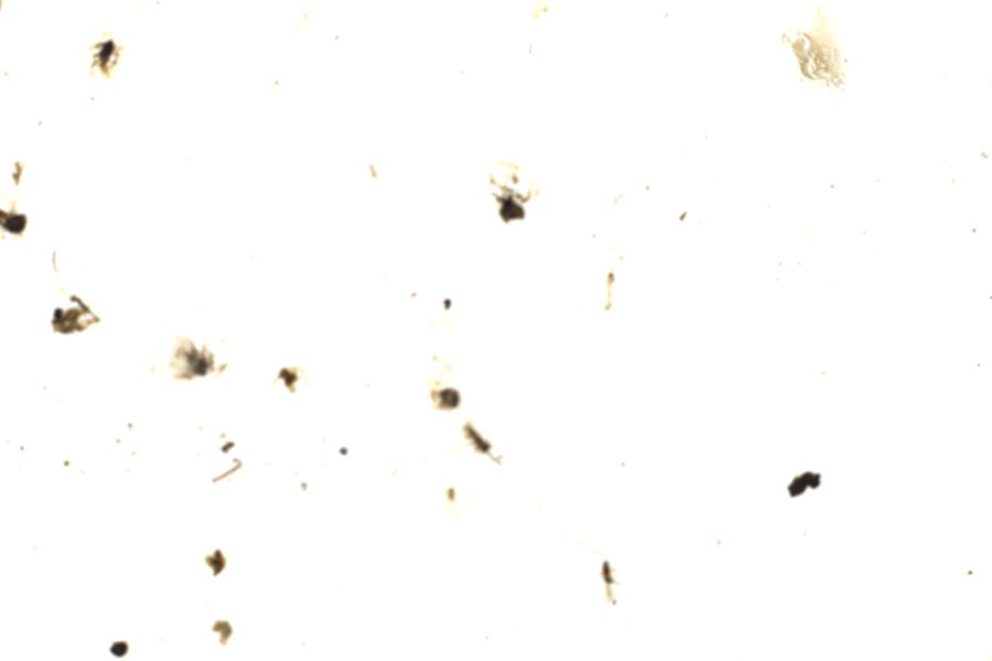 Image 218